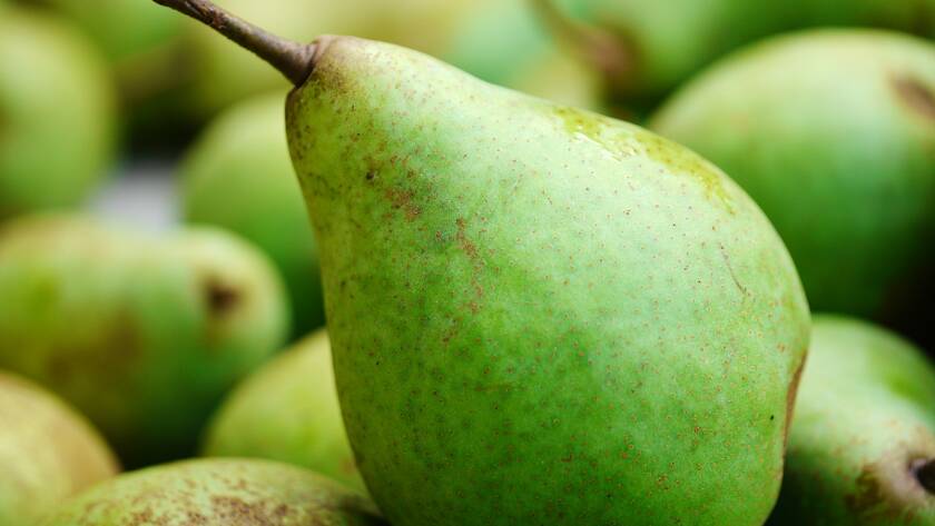 pere