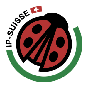 ip suisse